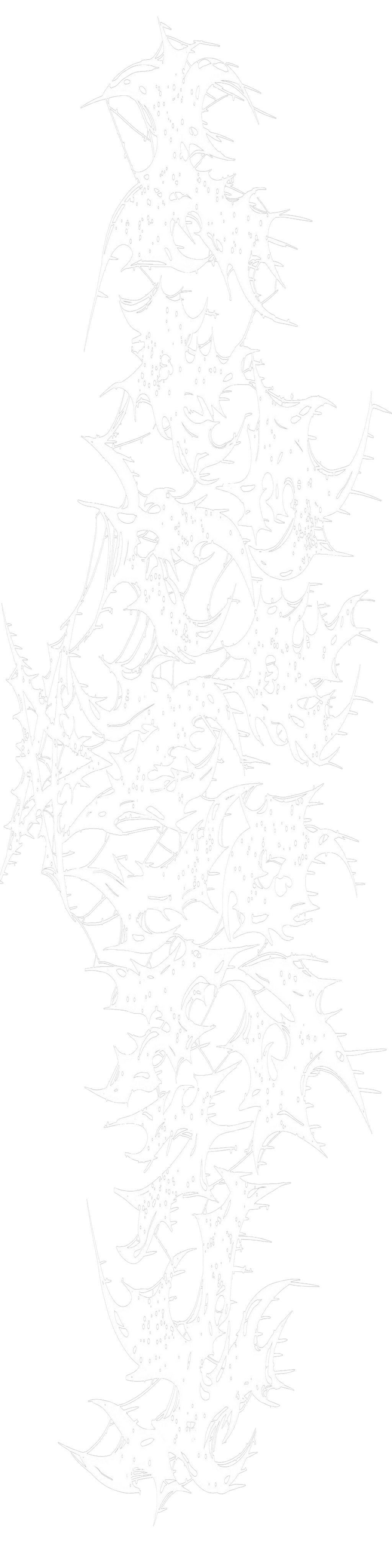 UNISEX  TRACKSUITS BE DIFFERENT